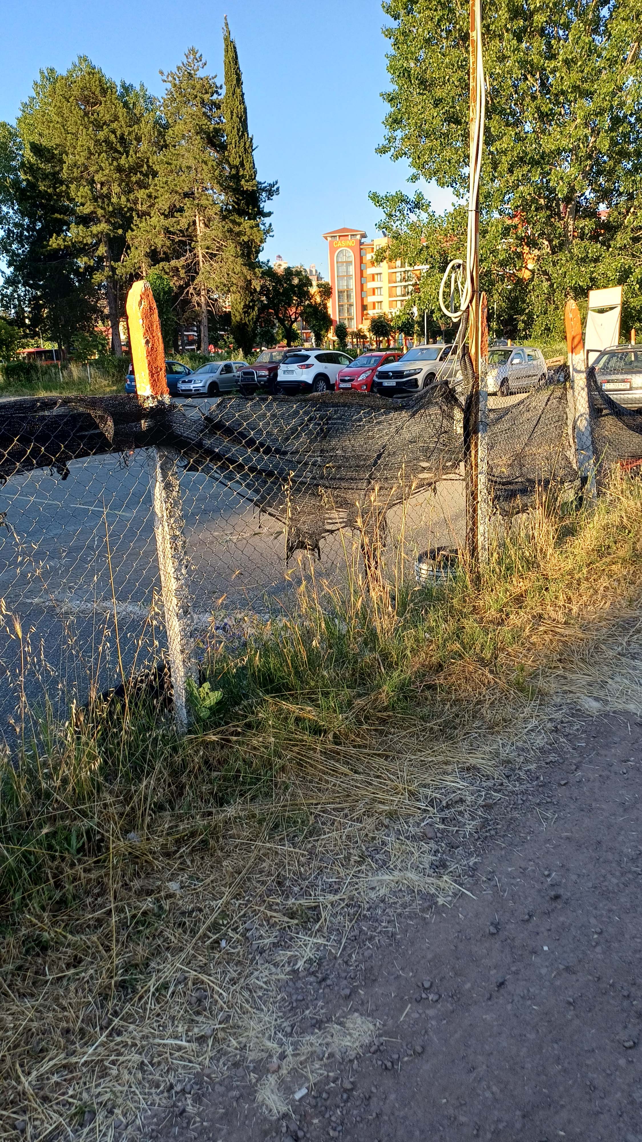 20260614_193740.jpg