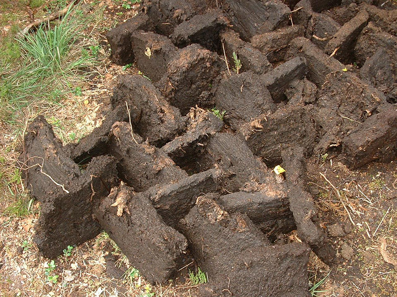Peat_artisanal_exploitation.jpg