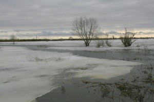 Žydrūnės JANKAUSKIENĖS nuotr.