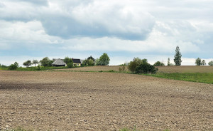 Žemė brangi, bet pardavimo sandorių padaugėjo dešimtadaliu