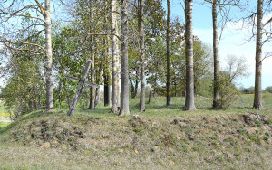 Koks bus kryžių likimas?