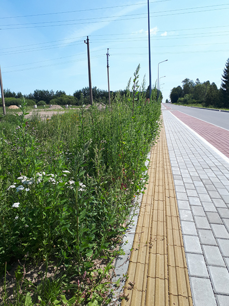 Galimybių yra, trūksta tik noro