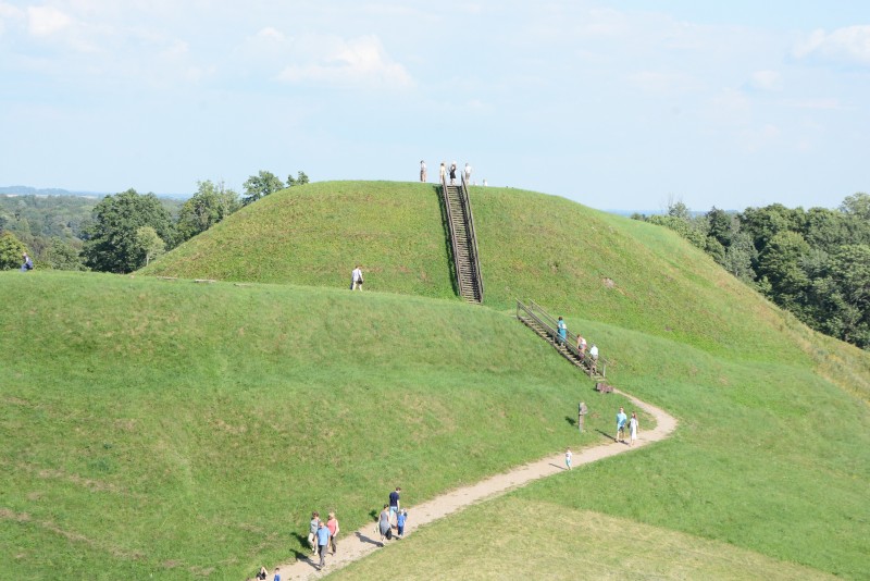 Medvėgalio Menų festivalis