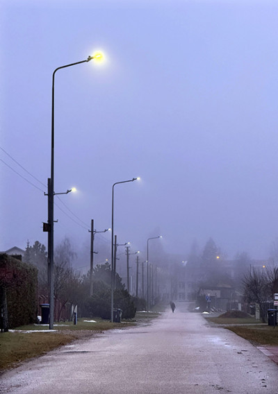 Vėliavos plazda kone savaitę, o gatvės ap&scaron;viečiamos ne tik naktį