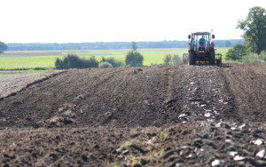 Norint gauti paramą, teks įvykdyti 11 reikalavimų