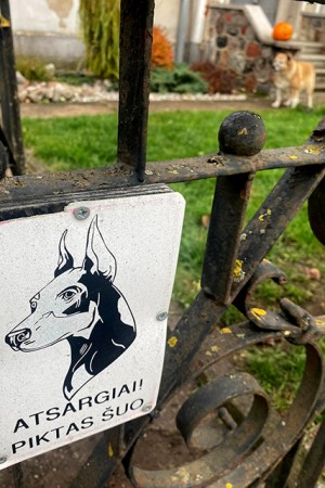 Laiškininkai tikisi žmonių supratingumo