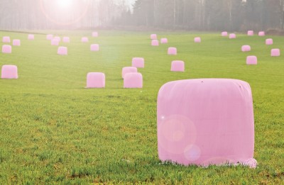 Rožiniai šienainio ritiniai laukuose ragins moteris tikrintis dėl krūties vėžio