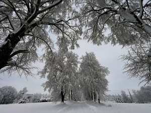 Kalėdų šviesa
