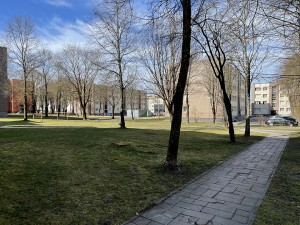 Žaliojoje vejoje atsiras mašinų stovėjimo aikštelės ir poilsio zona