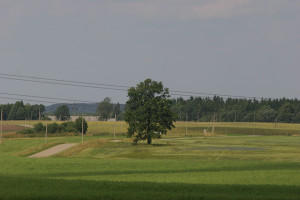 Pagal pakeistus reikalavimus, ūkininkams bus paprasčiau įgyvendinti savo valdų tręšimą