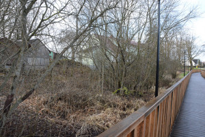 Pėsčiųjų tilto prieigos &ndash; niekieno teritorija?