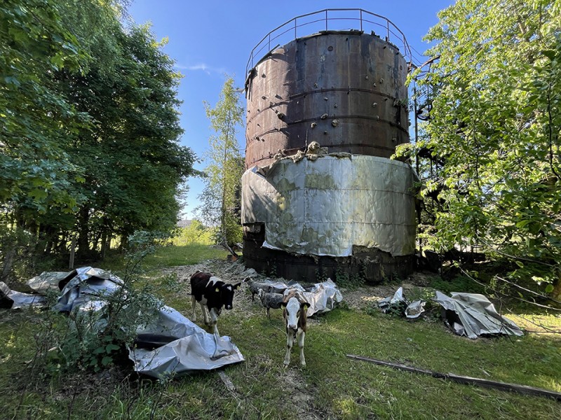 Laukuvos „paveldas“ – objektas kone miestelio centre... A. AMBROZOS nuotr.