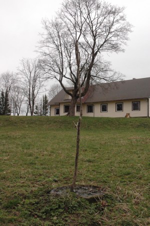 Baiminasi, kad neįvyktų nelaimė