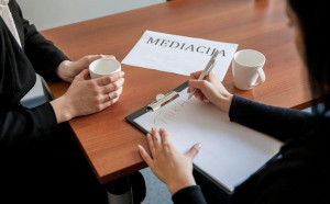 Besiskiriančias &scaron;eimas taikys mediatoriai