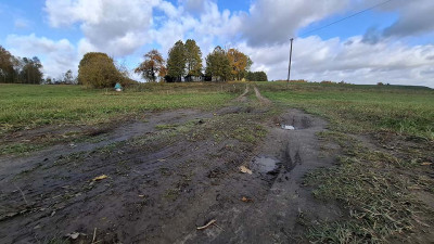 Kodėl vieniša kaimo gyventoja nenusipelnė geresnio kelio?