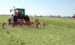 Karantinas ūkininkams atostogų nesuteikia