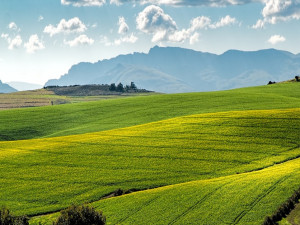 Agri-Pulse nuotr.