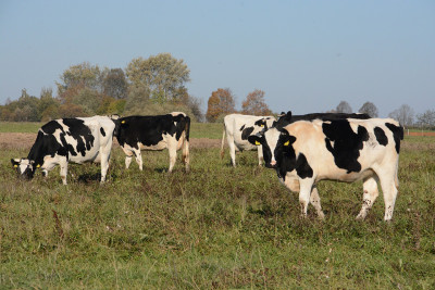 Parama ūkininkams mažėja: kaimas neteko 2 mln. eurų