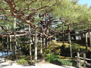 Mes gyvename geriau nei japonai?