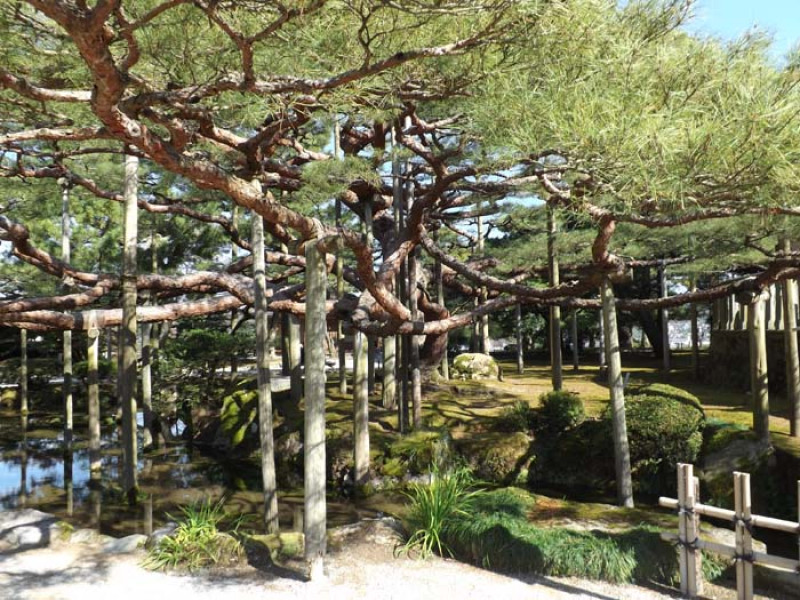 Mes gyvename geriau nei japonai?