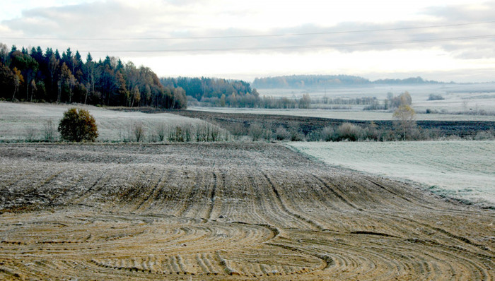 Ūkininkams gresia dvigubas žemės mokestis