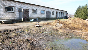 Už tokį elgesį turi būti baudžiama