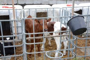 Ver&scaron;elių būstai &ndash; talpos nuo vandens