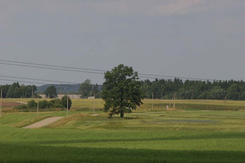 Planą konkrečiam laukui tręšti reikės sudaryti vadovaujantis Tręšiamųjų produktų aprašo nuostatomis