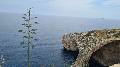 Piligriminė kelionė į Maltą: kodėl kiekvienam bent sykį gyvenime verta tai patirti?