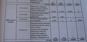 Papiktino valdžios noras išlaidauti