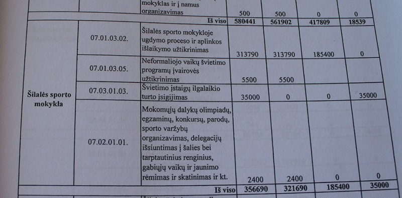 Papiktino valdžios noras išlaidauti