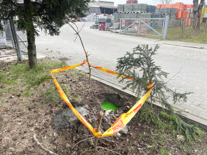 Šilumos tiekėjai pasirūpino velykaičių dažykla?