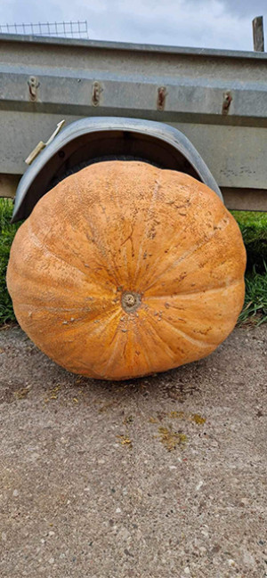 Kai neina panešti, tenka ridenti