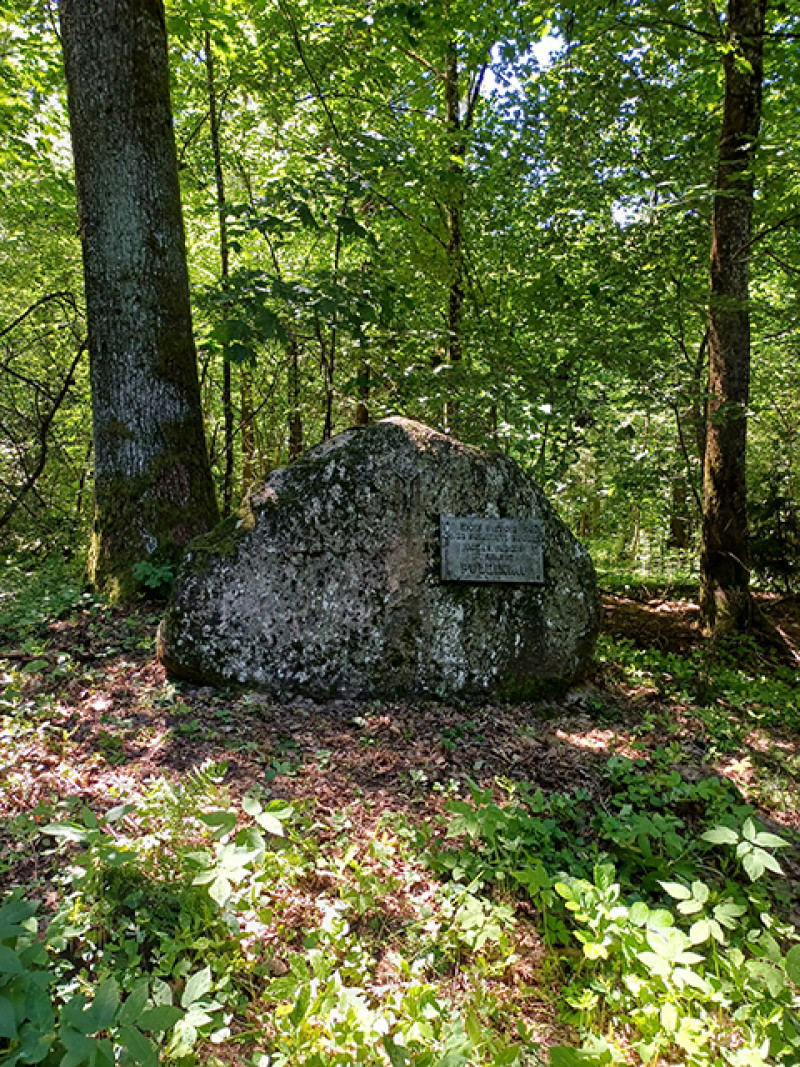 Kodėl svarbu nuolat atsigręžti į praeitį?