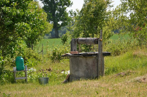 Politikas apkaltintas žemės ir &scaron;ulinio &bdquo;okupavimu&ldquo;