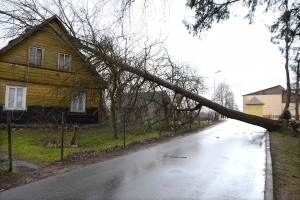 Vaizdai po ko&scaron;mari&scaron;kos nakties &Scaron;ilalės rajone