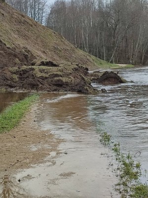 Padievaičio piliakalnį ištiko Gedimino kalno likimas