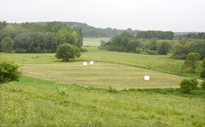 Į ką svarbu atkreipti dėmesį, norint i&scaron;vengti sankcijų