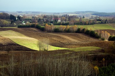 Strateginiam planui įgyvendinti skirtos lėšos – didelė pa­spirtis Lietuvos ūkiams plėstis Ričardo PASILIAUSKO nuotr.