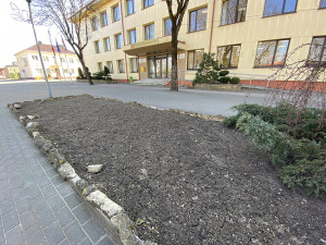 Karantinas ir miesto gražinimui