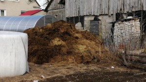 Miesto veidas – krūvos mėšlo?