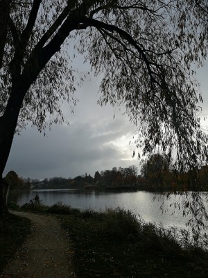 Su šviesiu ilgesiu