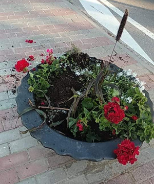 Nuo namų vagies neapsaugos niekas