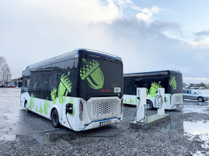 Kilpa ant kaklo – elektriniai autobusai