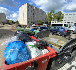 &Scaron;ilalėje &ndash; varnų rojus?