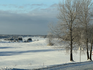 &bdquo;&Scaron;ilalės artojo&ldquo; archyvo nuotr.