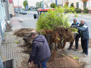 Vieno vazono kaina didesnė už minimalų atlyginimą