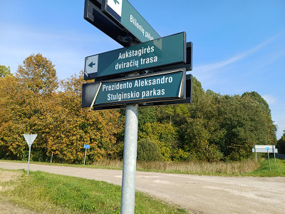 Prie&scaron;  rinkimus  kelių  eilės  dėliojamos  kitaip