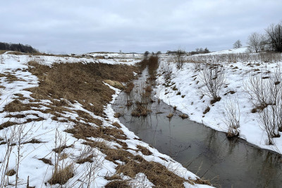 Skęstančiųjų gelbėjimas – pačių skęstančiųjų reikalas