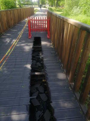 Jeigu &scaron;eimininkas be galvos, ko norėti i&scaron; kitų?